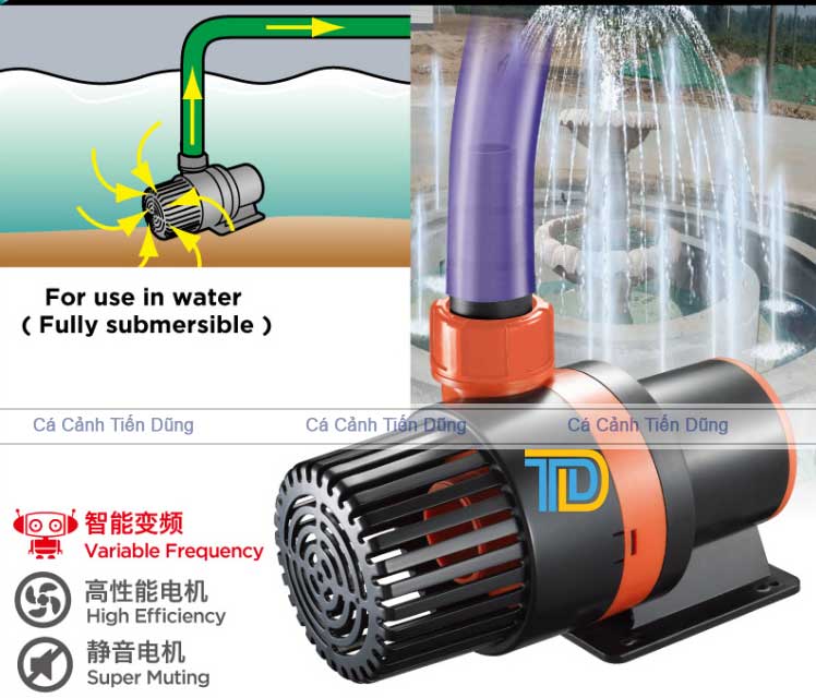 Máy bơm Periha được sử dụng phổ biến trong các hồ koi, tiểu cảnh sân vườn
